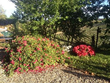 Casa de vacaciones en Vaglio Serra (Asti)Casa de vacaciones