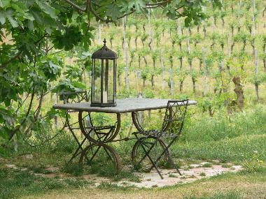 Casa de vacaciones en Vaglio Serra (Asti)Casa de vacaciones