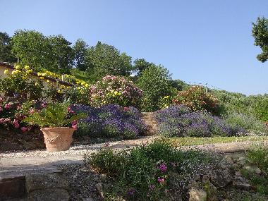 Apartamento de vacaciones en Staffolo (Ancona)Casa de vacaciones