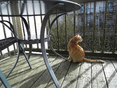 Apartamento de vacaciones en Falkenstein (Oberpfalz)Casa de vacaciones