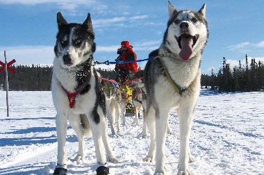 Casa de vacaciones en Svenstavik-Gal�bodarna (J�mtland)Casa de vacaciones