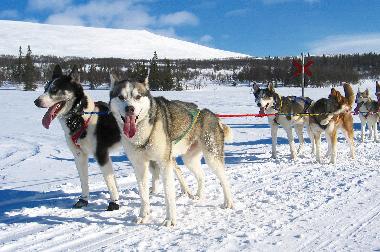 Casa de vacaciones en Svenstavik-Gal�bodarna (J�mtland)Casa de vacaciones