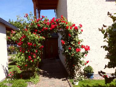 Apartamento de vacaciones en Beverungen (Weserbergland)Casa de vacaciones