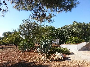 Casa de vacaciones en Villa castelli (Brindisi)Casa de vacaciones