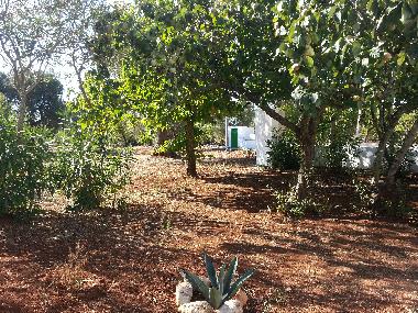 Casa de vacaciones en Villa castelli (Brindisi)Casa de vacaciones