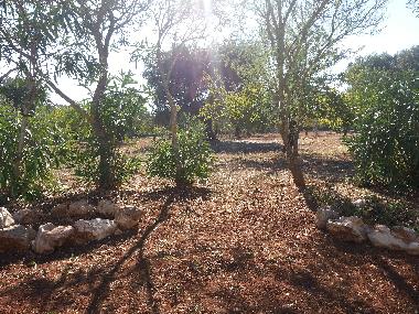 Casa de vacaciones en Villa castelli (Brindisi)Casa de vacaciones