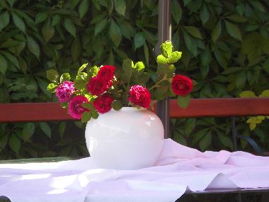 Apartamento de vacaciones en Rheinsberg (Ostprignitz-Ruppin)Casa de vacaciones