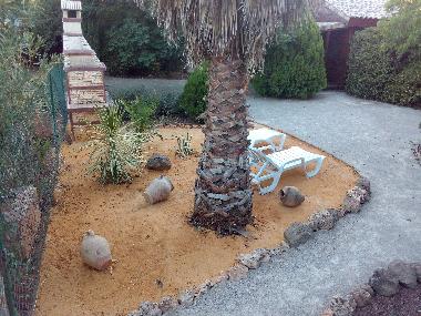 Chalet en Ciudad Real (Ciudad Real)Casa de vacaciones