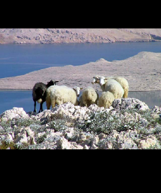 Apartamento de vacaciones en Pag (Zadarska)Casa de vacaciones