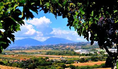 Apartamento de vacaciones en Pescara(Catignano) (Pescara)Casa de vacaciones