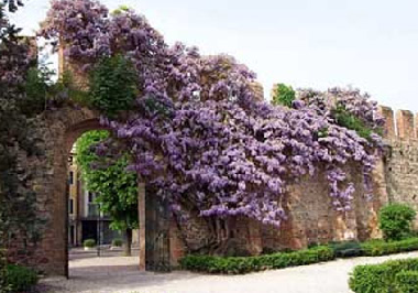 Casa de vacaciones en Baone (Padova)Casa de vacaciones