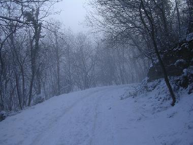 Casa de vacaciones en Baone (Padova)Casa de vacaciones