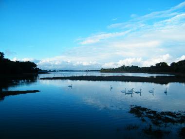 Villa en Sarzeau (Morbihan)Casa de vacaciones