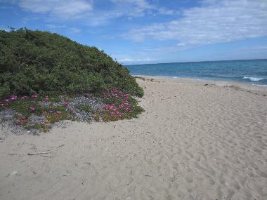 Casa de vacaciones en San Pietro in Bevagna (Taranto)Casa de vacaciones