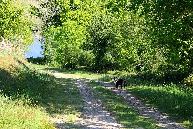 Casa de vacaciones en Lapeyrouse (Puy-de-Dme)Casa de vacaciones