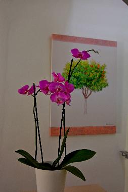 Casa de vacaciones en Chania (Chania)Casa de vacaciones