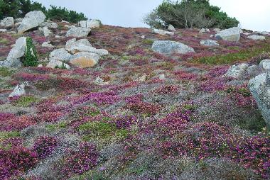 Casa de vacaciones en Ploz�vet (Finist�re)Casa de vacaciones