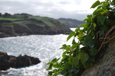 Casa de vacaciones en Ploz�vet (Finist�re)Casa de vacaciones