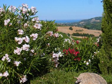 Casa de vacaciones en Montefiore dell