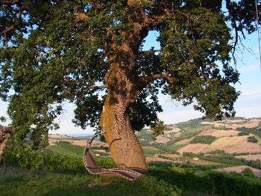 Apartamento de vacaciones en Montefiore dell