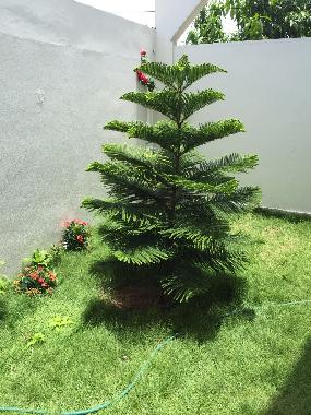 Apartamento de vacaciones en Avepozo Plage (Lome)Casa de vacaciones