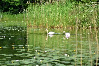Apartamento de vacaciones en Rheinsberg, OT Kagar (Ostprignitz-Ruppin)Casa de vacaciones