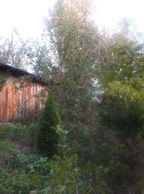 Casa de vacaciones en Shiroka Laka-Solishta (Smolyan)Casa de vacaciones