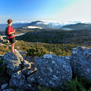 Cama y desayuno en Cape Town (Western Cape)Casa de vacaciones