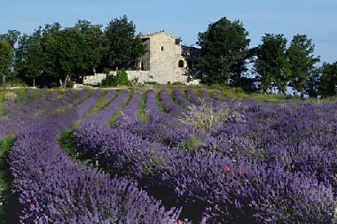 Apartamento de vacaciones en Viens (Vaucluse)Casa de vacaciones