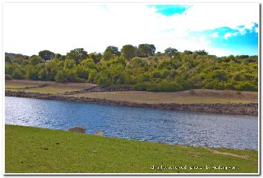 Apartamento de vacaciones en Oristano (Oristano)Casa de vacaciones