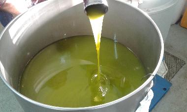 Apartamento de vacaciones en 52440 POREC (Istarska)Casa de vacaciones