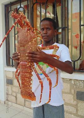 Casa de vacaciones en Morro / Maio (Maio)Casa de vacaciones