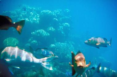 Casa de vacaciones en Morro / Maio (Maio)Casa de vacaciones