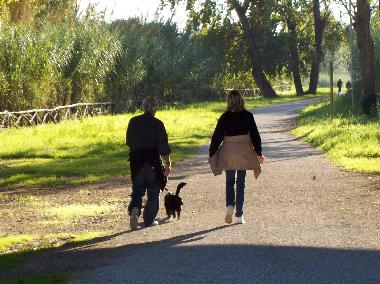Villa en Marina di Massa (Massa-Carrara)Casa de vacaciones