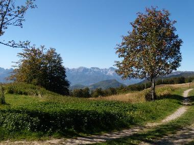 Villa en Marina di Massa (Massa-Carrara)Casa de vacaciones
