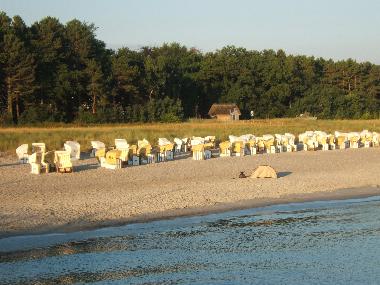 Apartamento de vacaciones en Zingst (Ostsee-Inseln)Casa de vacaciones