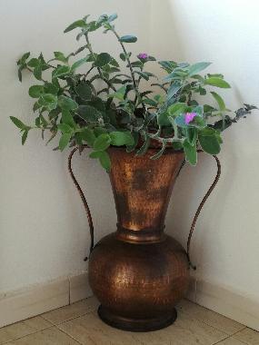 Apartamento de vacaciones en Tropea (Vibo Valentia)Casa de vacaciones