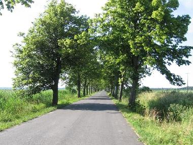 Casa de vacaciones en mscice (Zachodniopomorskie)Casa de vacaciones