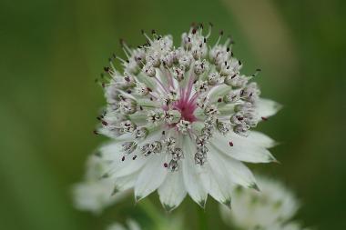 Villa en Nunziata di Mascali (Catania)Casa de vacaciones