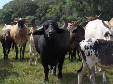 Casa de vacaciones en Villeta (Central)Casa de vacaciones