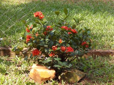 Casa de vacaciones en Villeta (Central)Casa de vacaciones