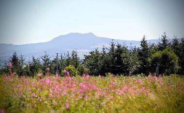 Casa de vacaciones en chambon sur lignon (Haute-Loire)Casa de vacaciones
