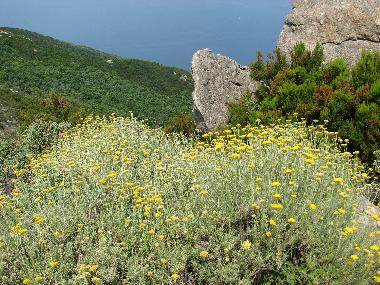 Apartamento de vacaciones en cavo rio marina (Livorno)Casa de vacaciones