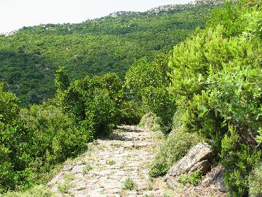 Apartamento de vacaciones en cavo rio marina (Livorno)Casa de vacaciones