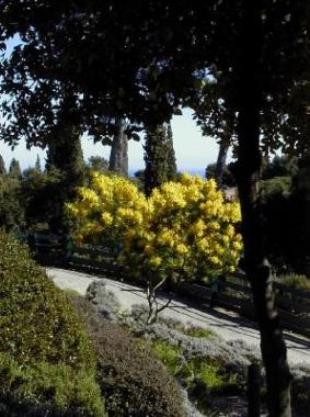 Casa de vacaciones en Golfe Juan (Alpes-Maritimes)Casa de vacaciones