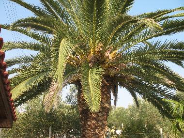 Villa en Nea Kalikratia (Thessaloniki)Casa de vacaciones