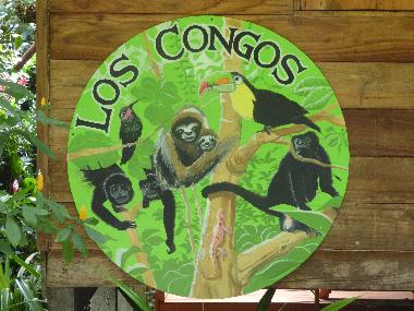 Casa de vacaciones en Puerto Viejo/Cocles (Limon)Casa de vacaciones