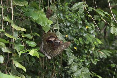 Casa de vacaciones en Puerto Viejo/Cocles (Limon)Casa de vacaciones
