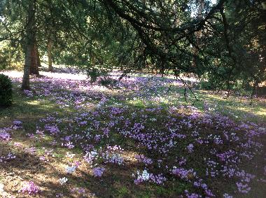 Casa de vacaciones en Vesdun (Centro)Casa de vacaciones