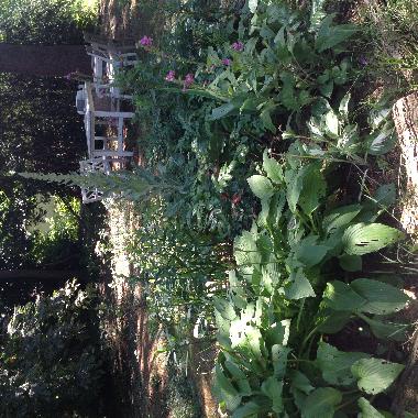 Casa de vacaciones en Vesdun (Centro)Casa de vacaciones